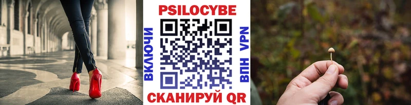 blacksprut рабочий сайт  Артёмовск  Галлюциногенные грибы Psilocybe 
